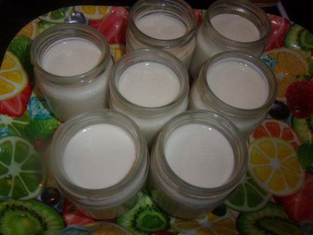Cookéo:yaourts nature sucrés. 200_1112