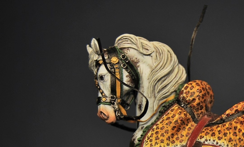 Cheval Dsc_0109