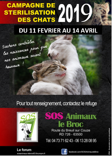 Campagne de stérilisation chats 2019 201910