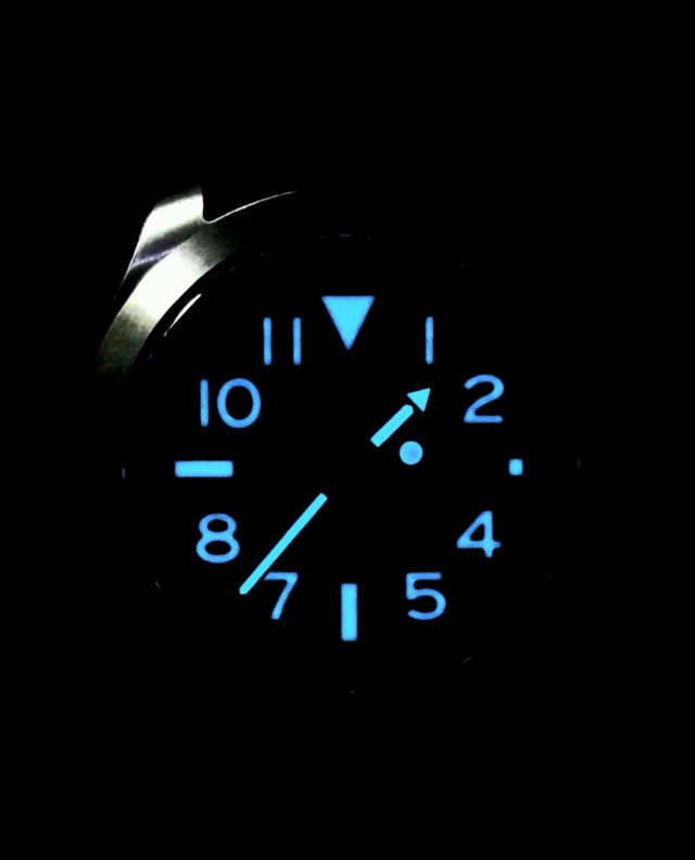 Mini-revue Citizen Promaster BN0118-04E "Ray Mears" Though Watch 20200219