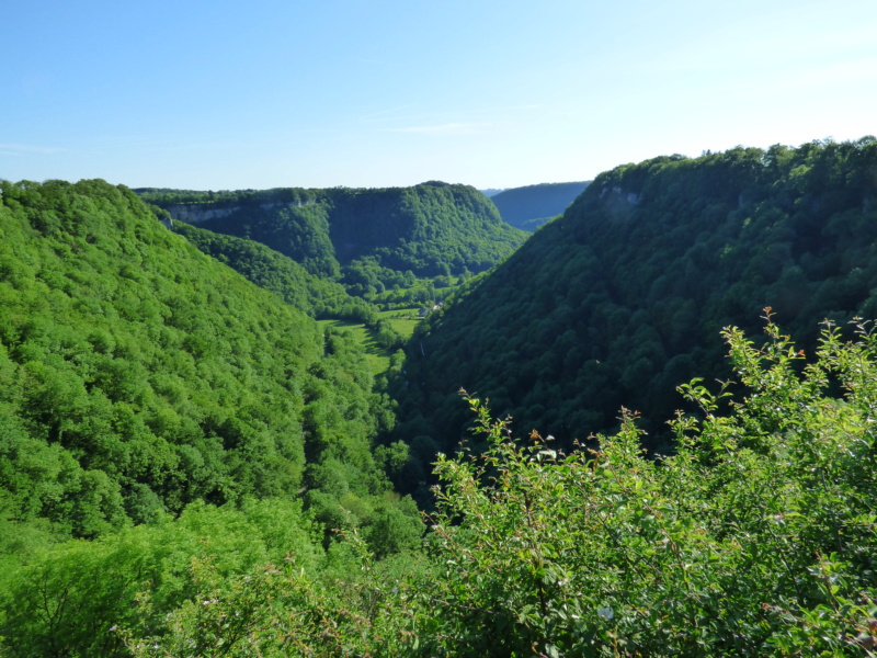 Rando Jura assencion 2019 - Page 2 P1040041