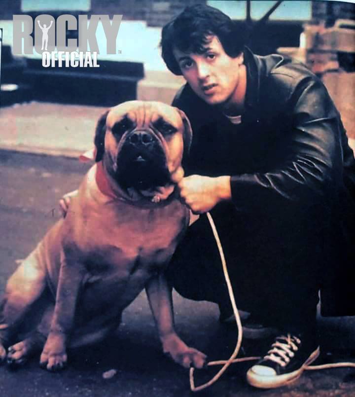 ROCKY I  - PHOTOS DE TOURNAGE -   - Page 2 98210