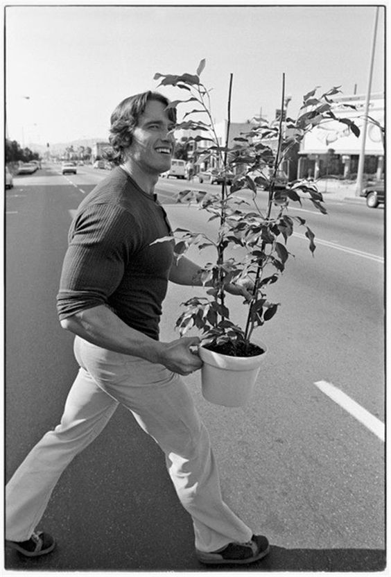 Arnold Schwarzenegger en photos - Page 16 Fddf6810