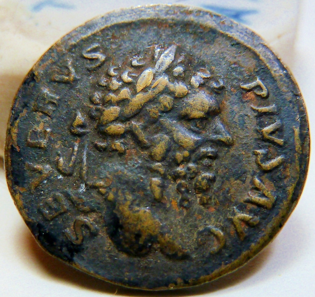 Denario limes de Septimio Severo. PM TR P XVII COS II P P. Emperador a caballo derribando a enemigo P1170012