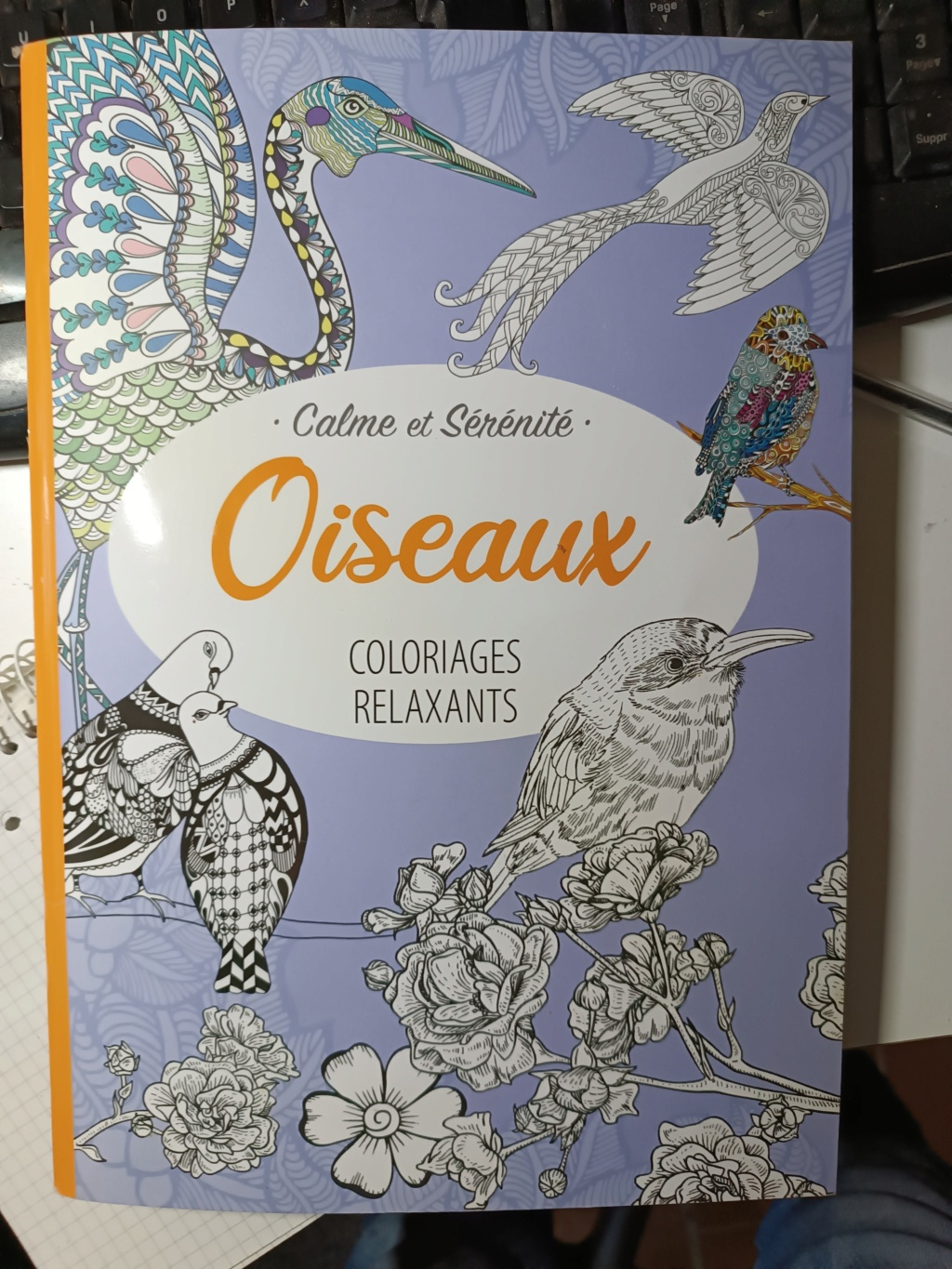 Défi de mars 2023 : un coloriage comportant un animal volant clrs chaudes ou clrs froides. - Page 3 16788110