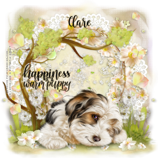  TAGS WITH ANIMALS - Page 2 Dog_pu10