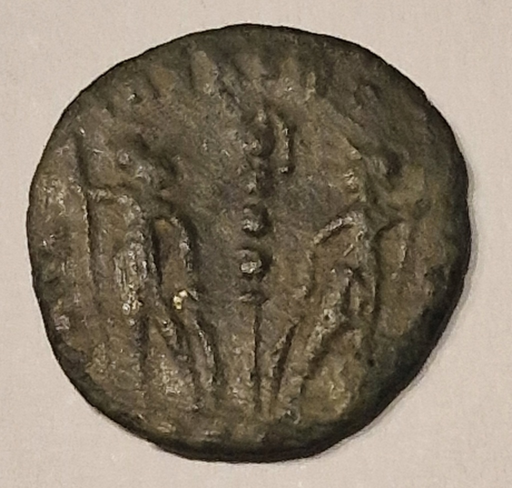 AE4 de Constantino II. GLORIA EXERCITVS 20231127
