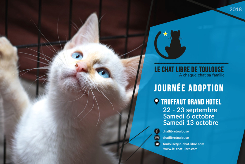 [ Adoptions ] Samedi 22 et dimanche 23 septembre 2018 : Truffaut Grand Hotel Journz14