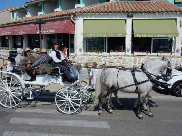 [Autres voyages/France] Traditions Provençales - Page 2 23_cal10