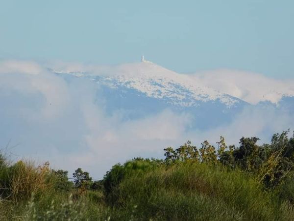 [Autres voyages/France] Le Vaucluse une belle région - Page 4 31877310