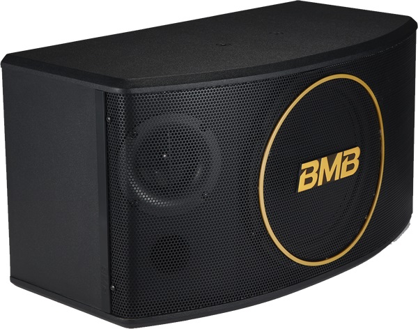 BMB CSJ-10 10" Karaoke Speaker B28