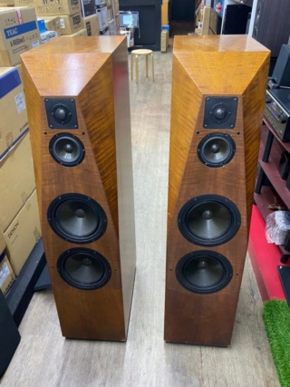 Avalon Acoustics Radian Floorstanding Speakers Handcrafted In USA ( PL )