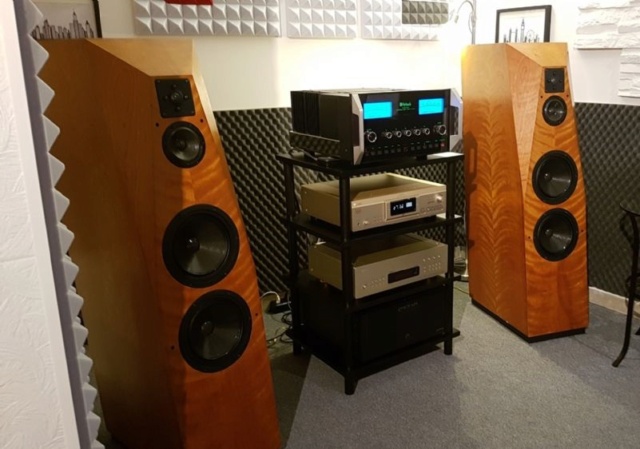 Avalon Acoustics Radian Floorstanding Speakers Handcrafted In USA ( PL ) Es_ava13