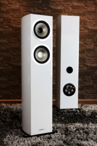 Tannoy Precision 6.2 Floorstanding Speaker Es_tan28