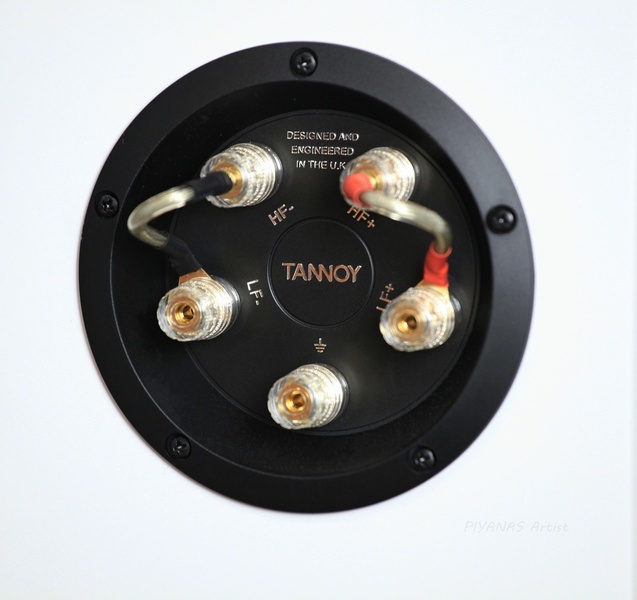 Tannoy Precision 6.2 Floorstanding Speaker Es_tan29