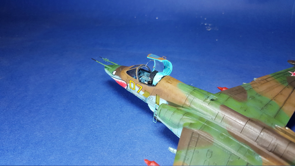 [Terminé] Sukhoï Su-25 "Frogfoot" - 1/72 20200972