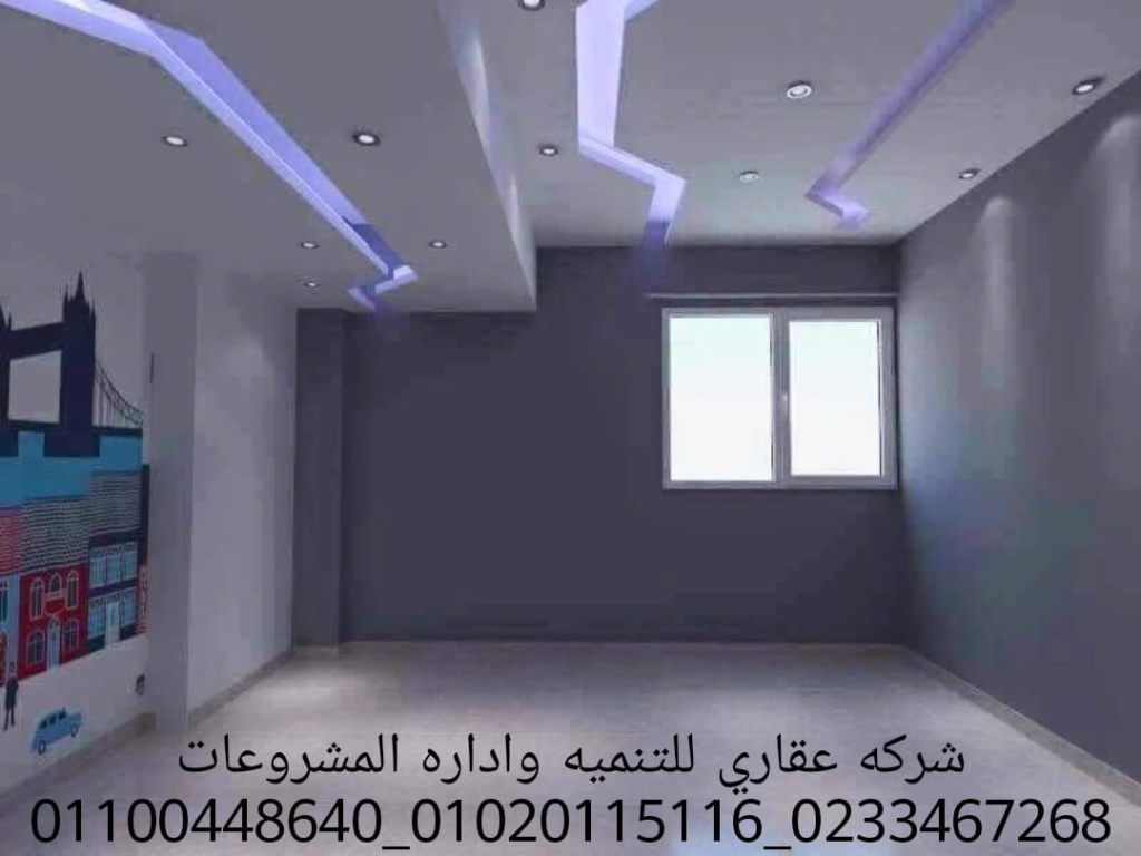 شركه ديكور وتشطيبات  (شركه عقاري للتنميه واداره المشروعات)01020115116  Img-2014