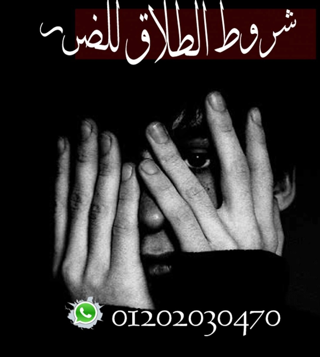 افضل محامي في القاهره والاسكندريه(كريم ابو اليزيد)01202030470 Img-2065