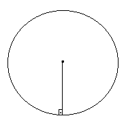 segmento radial Duvida10