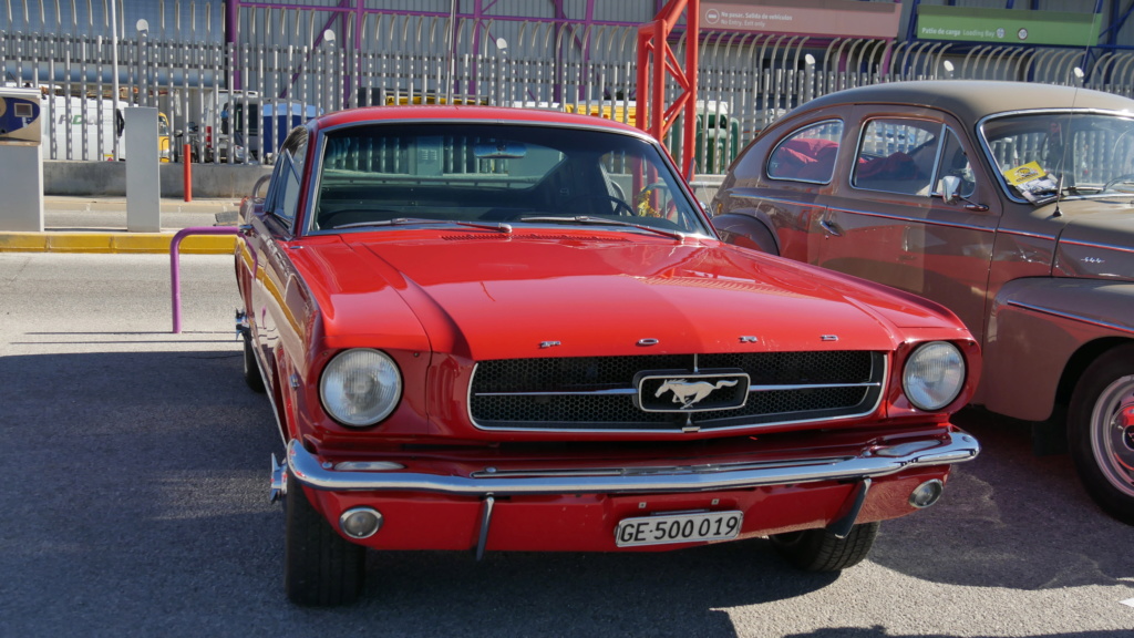 Fotos y videos Mustang Retro Málaga 2019 P1100317