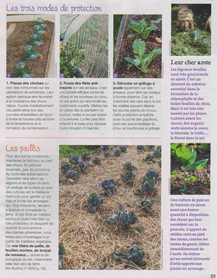 au jardin - Page 21 14c10