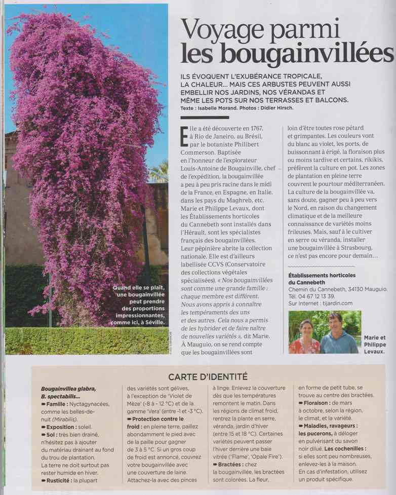 au jardin - Page 20 2114