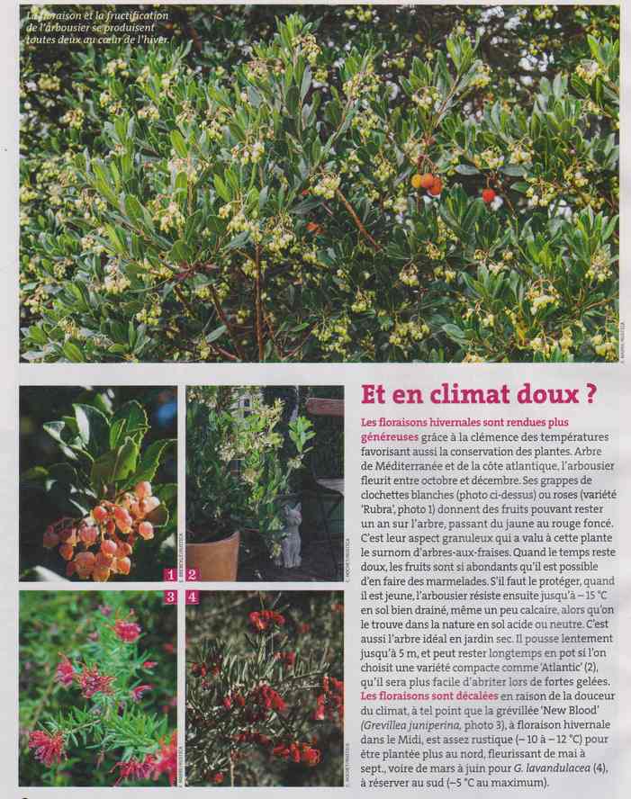 au jardin - Page 6 2h11