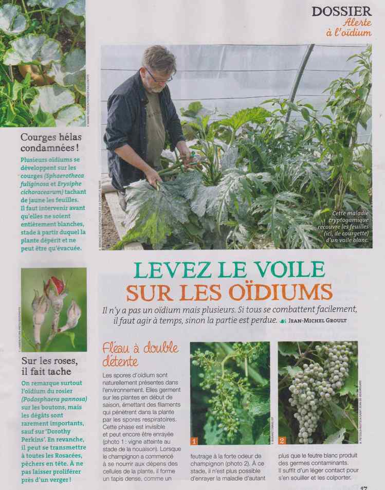 au jardin - Page 32 658