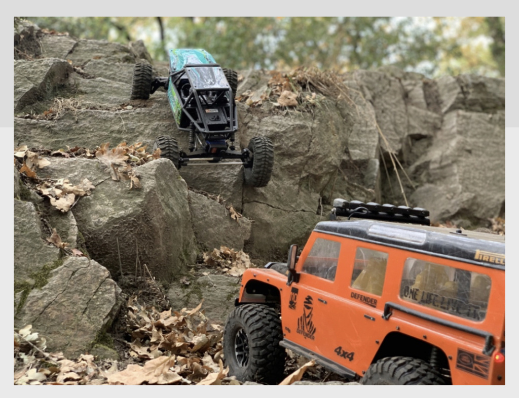 Axial capra unlimited trail - Page 4 43313910