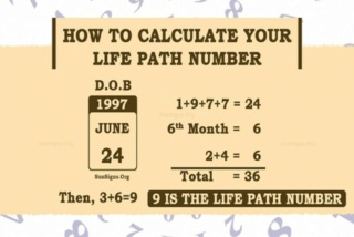 Life Path Number (Numerology) Lifepa10