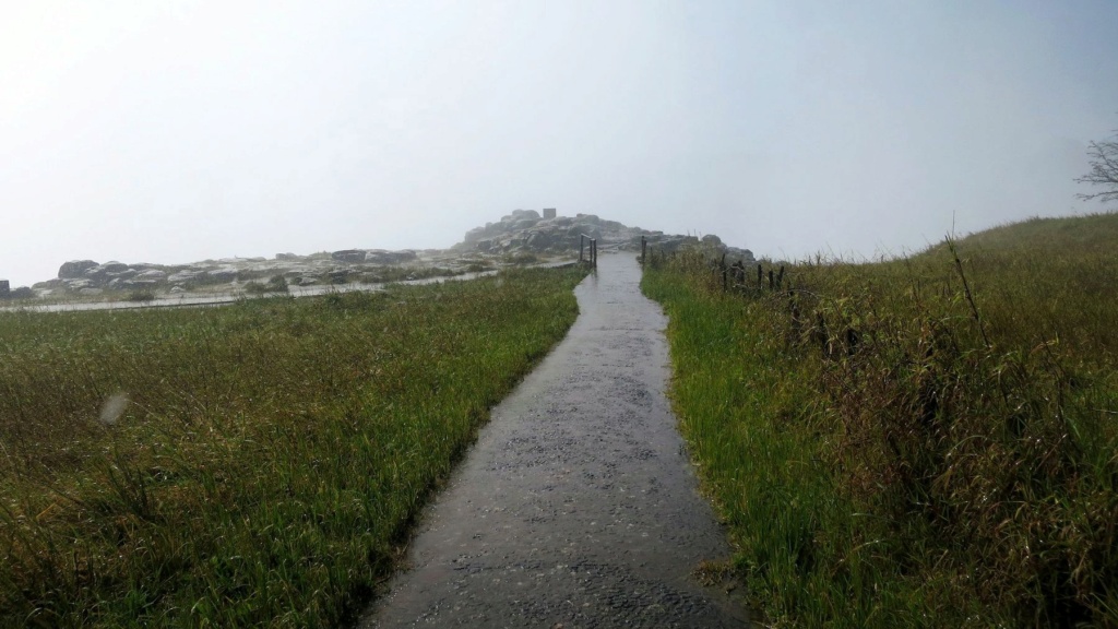 Fil parallèle au concours photos du mois de mai 2024 : Chemin faisant Fvd20283