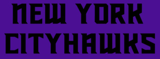 New York CityHawks 2024 uniforms, fields, logos, and wordmarks reveal Cityha46