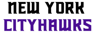 New York CityHawks 2024 uniforms, fields, logos, and wordmarks reveal Cityha61