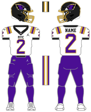 New York CityHawks 2024 uniforms, fields, logos, and wordmarks reveal Ny_a111