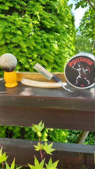 Shave of the Day / Rasage du jour - Page 24 20230544