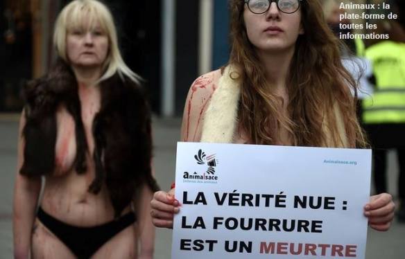 FRANCE: DES MILITANTS NUS DANS LE FROID CONTRE LA FOURRURE 15940710