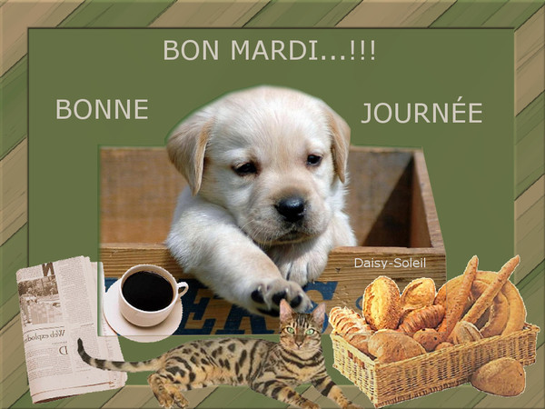 Ici on se dit bonjour  - Page 24 Hjdokl10