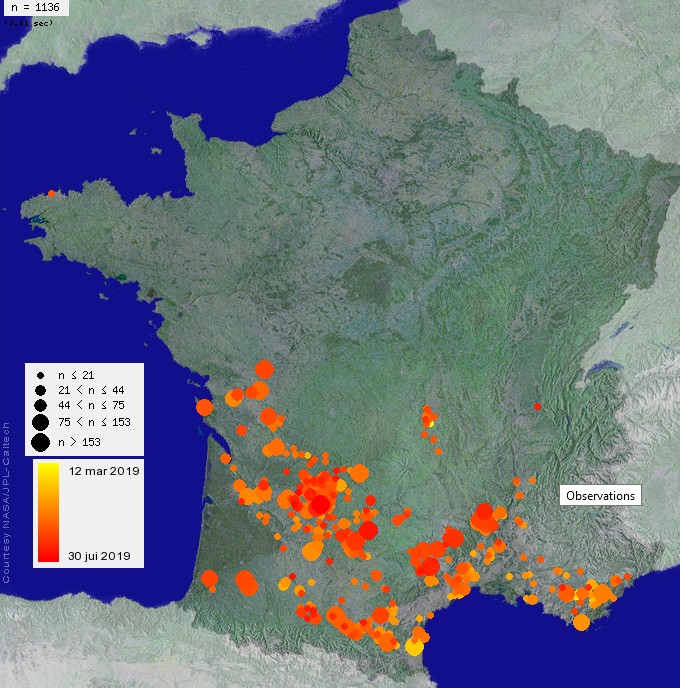 Guéguerre à la SFO autour d'Orchisauvage ? Scolo10