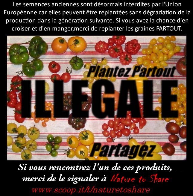 LA GUERRE DES GRAINES EST DÉCLARÉE 39425411