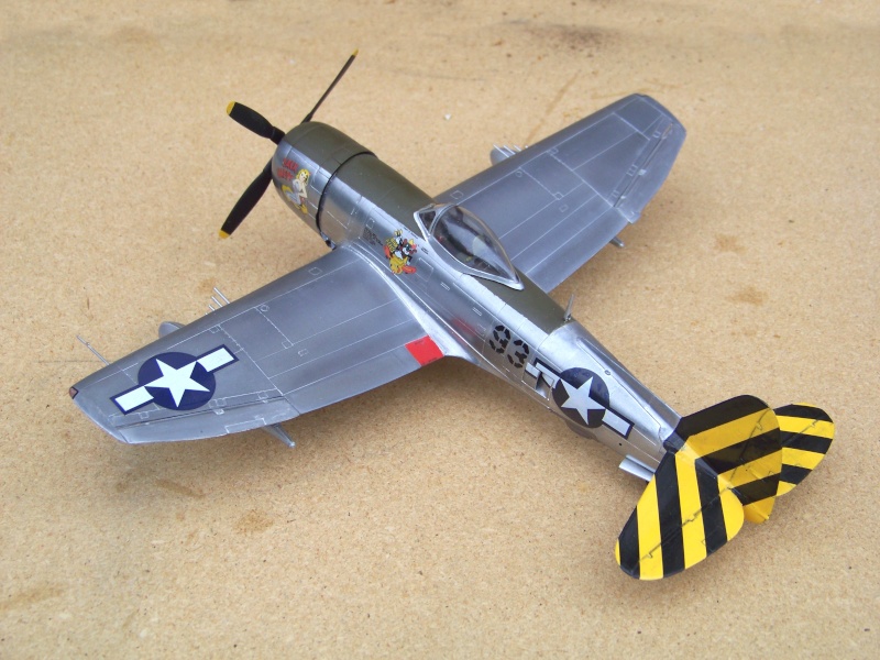 [Revell-Monogram] Republic P-47N-1-RE Thunderbolt, 1/48_2010 100_6820