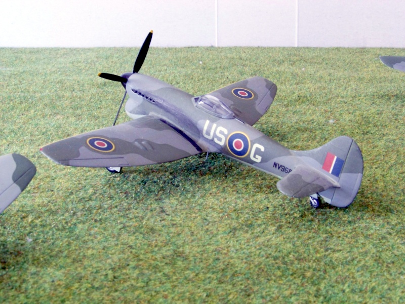 Hawker Tempest V 100_6922