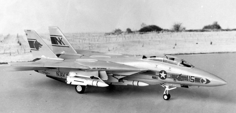 [HASEGAWA] GRUMMAN F-14 A TOMCAT Réf  K12 Img24