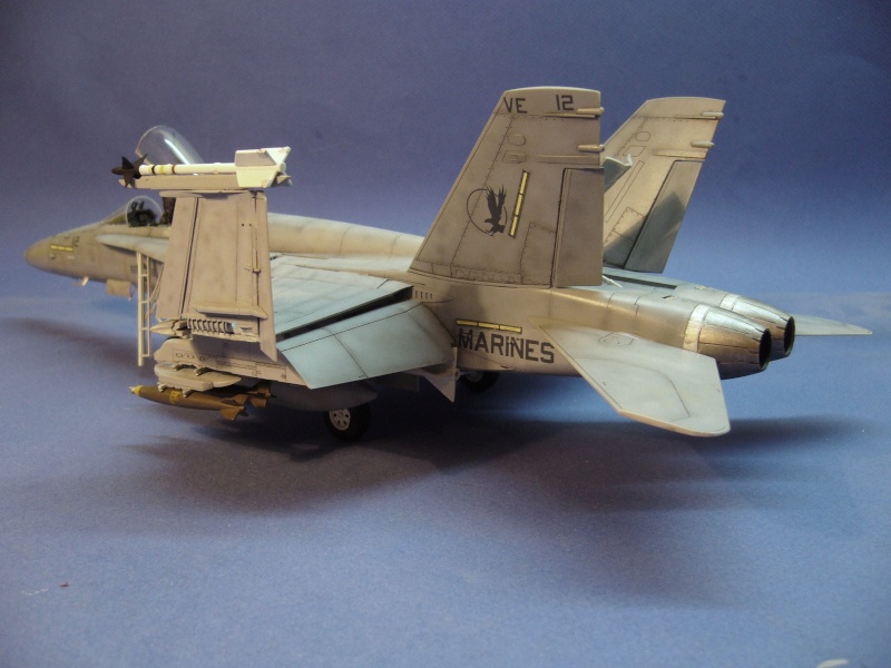 [Hobby Boss] 1/? - McDonnell-Douglas  F/A-18A Hornet - USMC (USN) Irak '91 - Page 3 P1030350