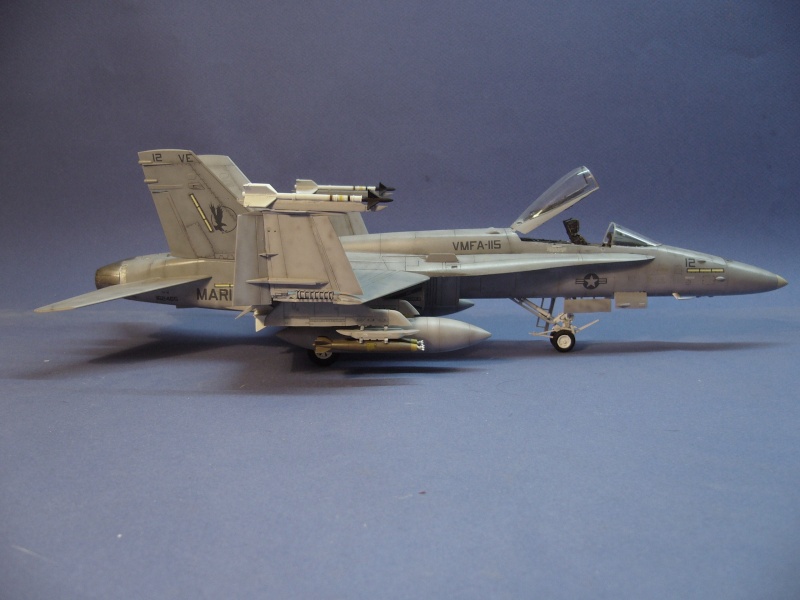 [Hobby Boss] 1/? - McDonnell-Douglas  F/A-18A Hornet - USMC (USN) Irak '91 - Page 3 P1030354