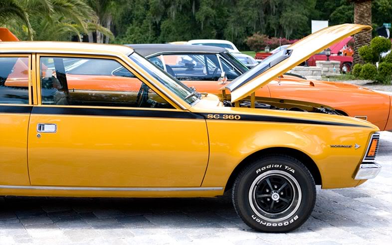 Serie: Des personnalitées et des AMC Hornet 112_0913