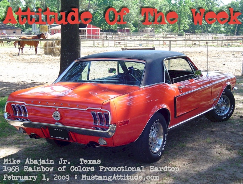 Des Mustang 1968 WT 1968_012