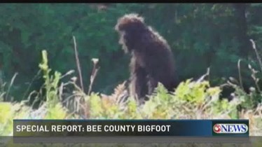 [Photo+Video] Une communauté de Bigfoot au Texas Beebig10