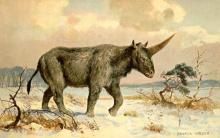 Licorne, Nessie et Yéti : l'étude des animaux fantastiques W453-711