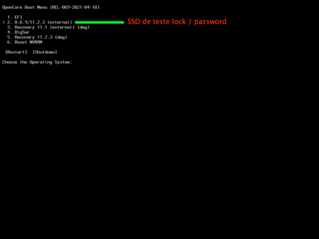 Lock / Password 0.6.9 / 070 soucis 17155011