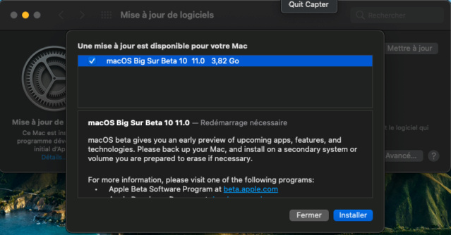 macOS Big Sur 11 / 11.1 / 11.2 / 11.3 / 11.4 / 11.5./ 11.6 /(Beta) - Page 9 Captu362